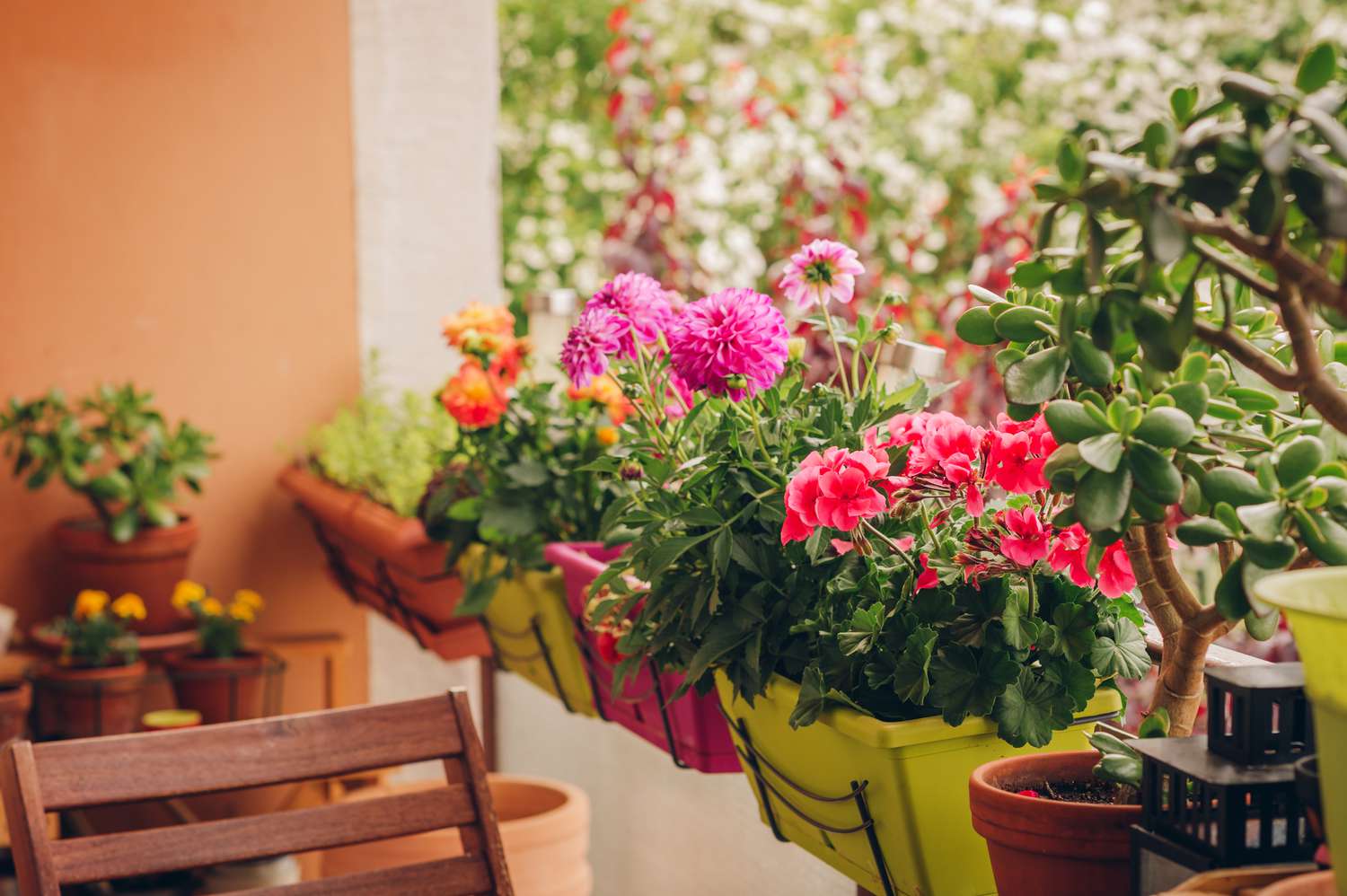 15 Greatest Balcony Crops