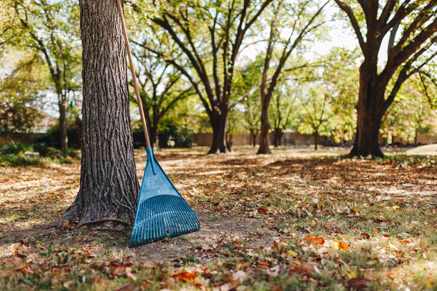 Skip the Rake and Depart Leaves for a Wholesome Yard